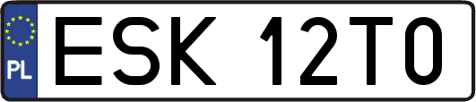 ESK12T0