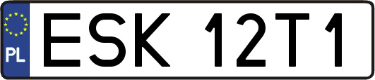 ESK12T1