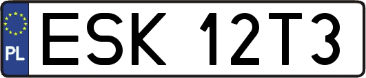 ESK12T3