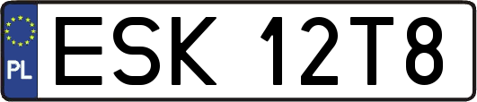 ESK12T8