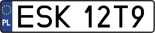 ESK12T9