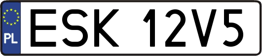 ESK12V5