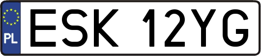 ESK12YG