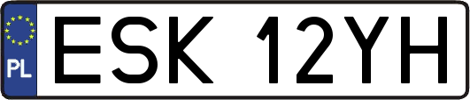 ESK12YH