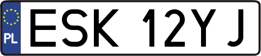ESK12YJ