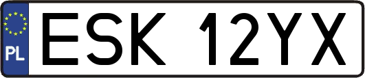 ESK12YX