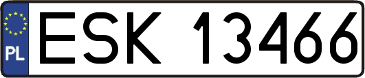 ESK13466