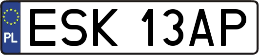 ESK13AP