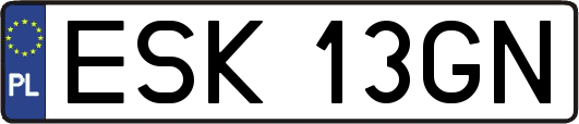 ESK13GN