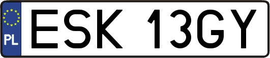 ESK13GY
