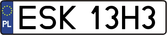 ESK13H3