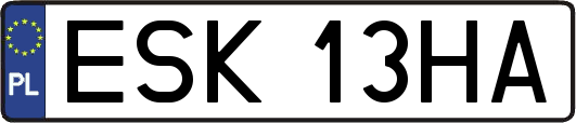 ESK13HA