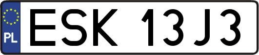 ESK13J3
