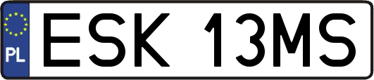 ESK13MS