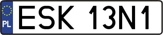ESK13N1