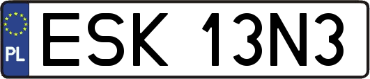 ESK13N3