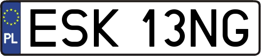 ESK13NG