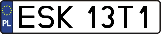 ESK13T1
