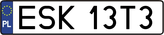 ESK13T3