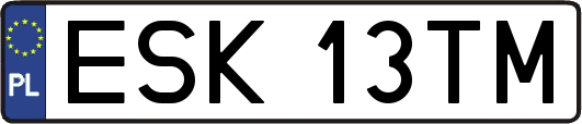 ESK13TM