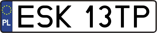 ESK13TP