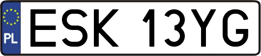 ESK13YG