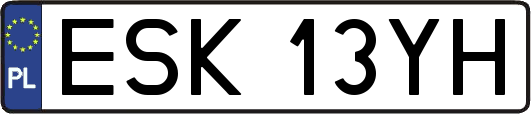 ESK13YH