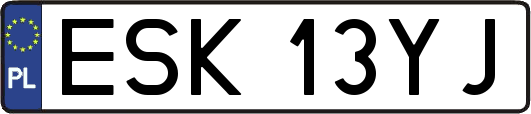 ESK13YJ