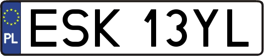 ESK13YL