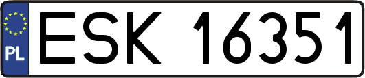 ESK16351