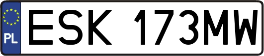 ESK173MW