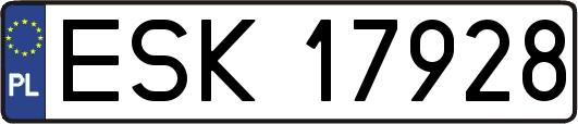 ESK17928
