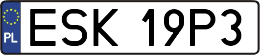 ESK19P3