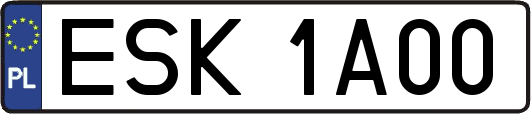 ESK1A00