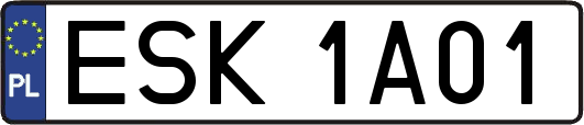 ESK1A01