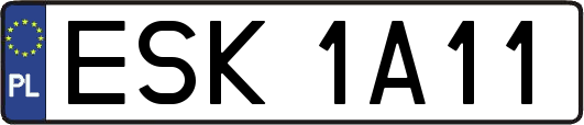 ESK1A11