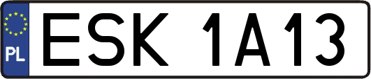 ESK1A13