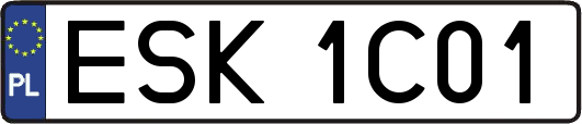 ESK1C01