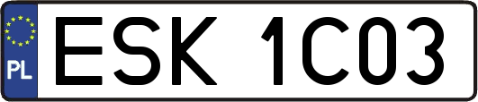 ESK1C03