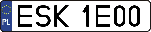 ESK1E00