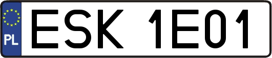 ESK1E01