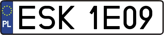 ESK1E09