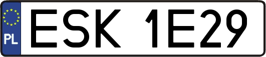 ESK1E29
