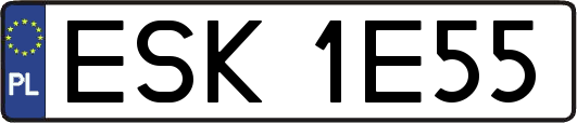 ESK1E55