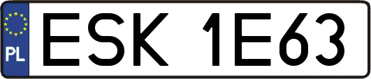 ESK1E63