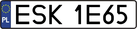 ESK1E65
