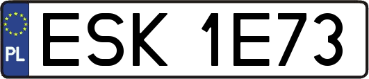 ESK1E73