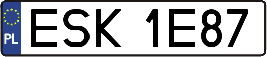 ESK1E87
