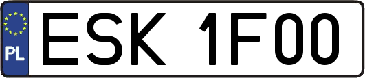ESK1F00
