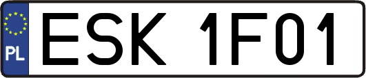 ESK1F01